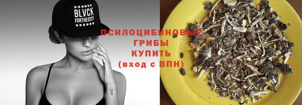 индика Бикин