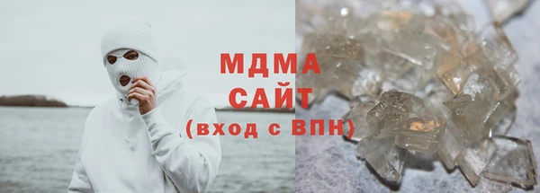 индика Бикин