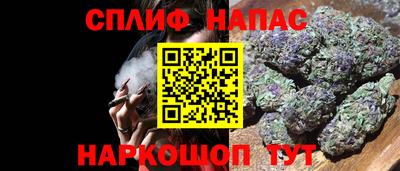 стаф Малоярославец