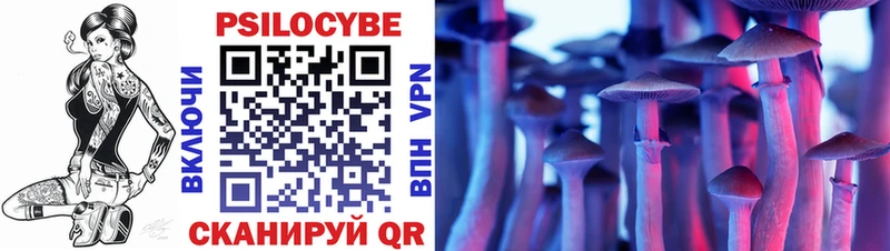 Псилоцибиновые грибы Psilocybine cubensis  купить   Егорьевск 