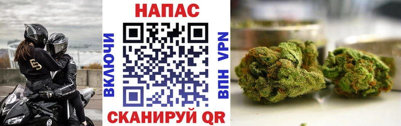 закладка  Егорьевск  Бошки марихуана гибрид 